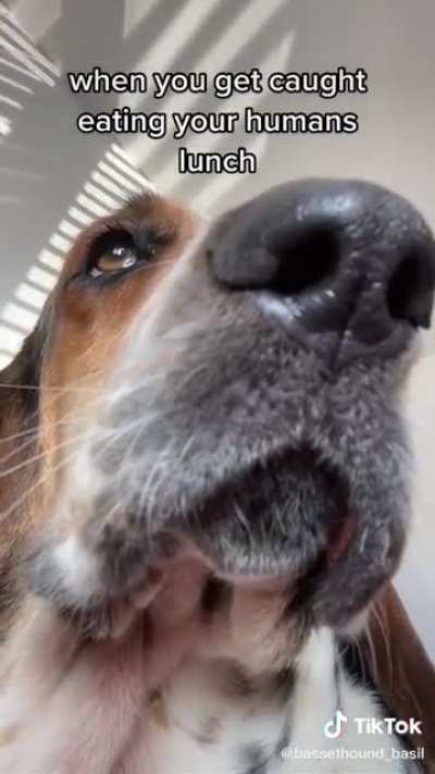 He’s sorry