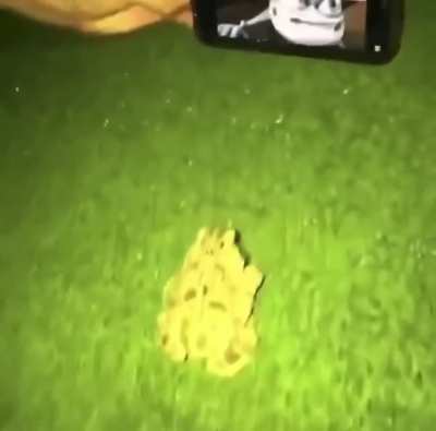 Gang Initiation