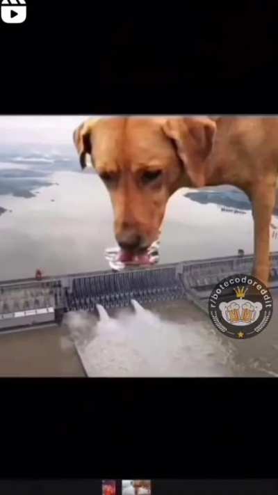 Será? 