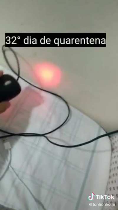 Olha que quarenta tá fazendo