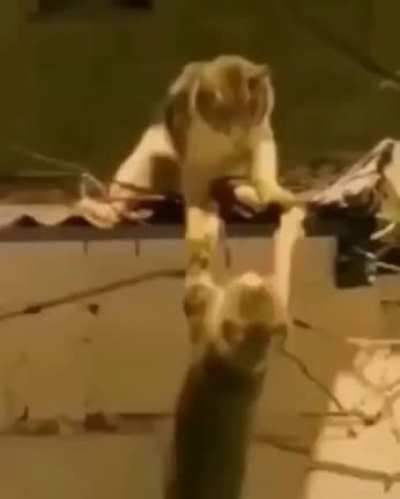 Maybe Maybe Maybe