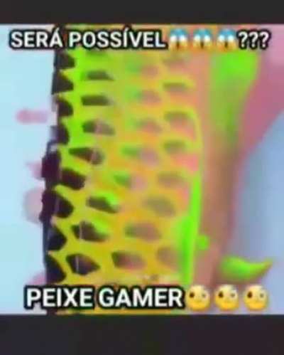 Será possível guys?