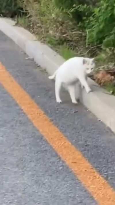 why