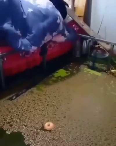 Cursed_room