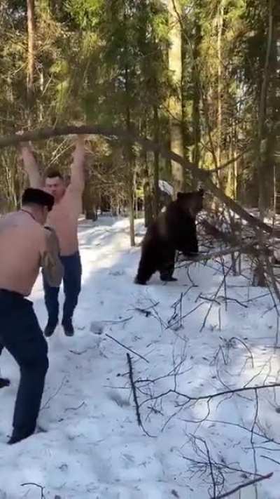 The bear is the trainer