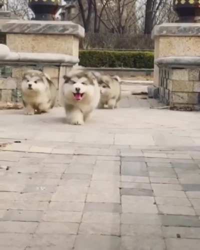 Cuteness Overloaded.