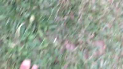 Kid goes crazy, smashes car windows, throws rocks at neighbours and gets arrested after.