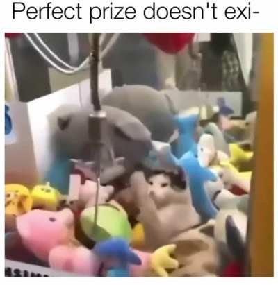 Vending machine prize