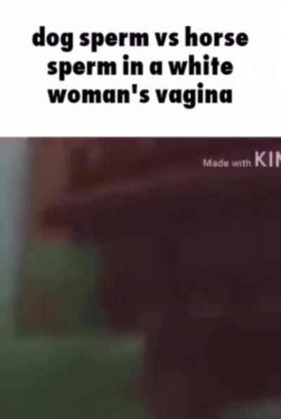 i don’t remember making this. i have never heard this song