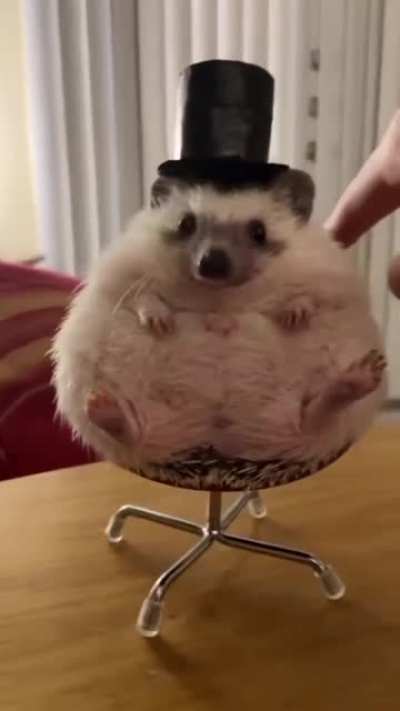 The Hogfather