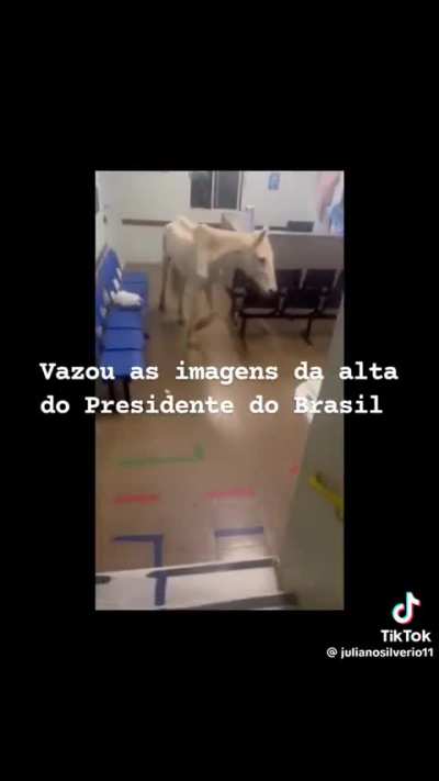 🤣🤣🤣🤣