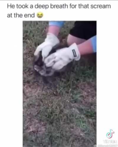 AAAAAAAAAAAA