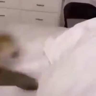 Short, but violent