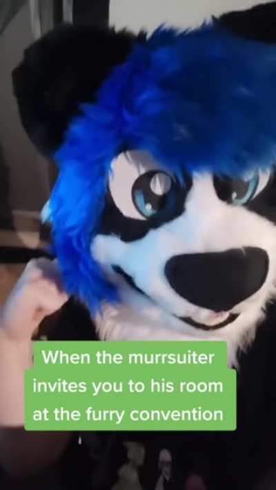 furcons_irl
