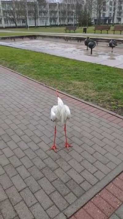 Yes