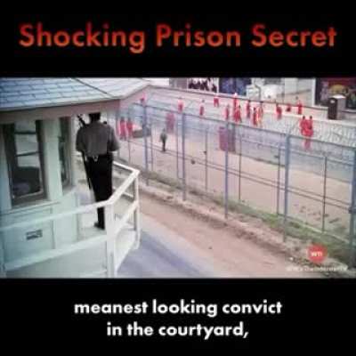 Prison Survival Guide