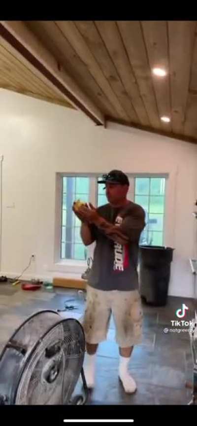 Potato