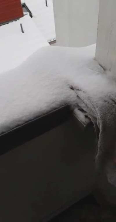 Geht es nur mir so oder kam der Winter dieses Jahr wirklich spät? Ich habe meinen Mantel bis vor ein paar Tagen kaum gebraucht.