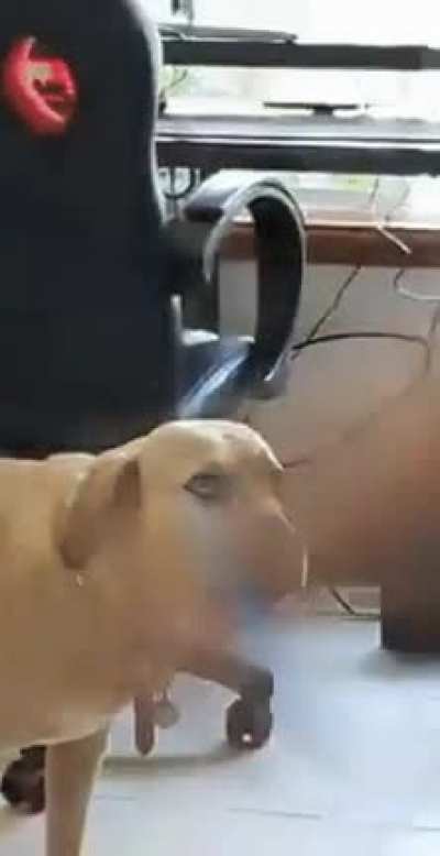 You good bro