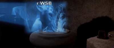 How Melvin Capital and Citadel's bailout meeting went, probably