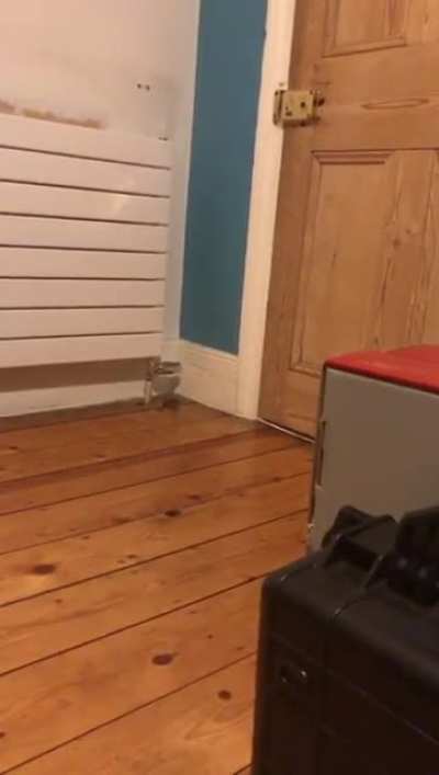 Credit to my friend for this wonderful video