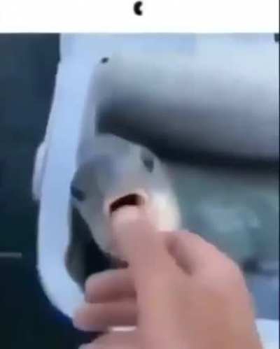 :o
