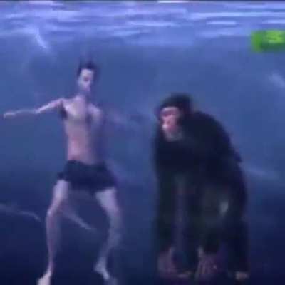 Xd