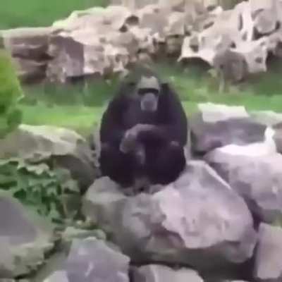 🤨