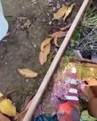 Don’t trip