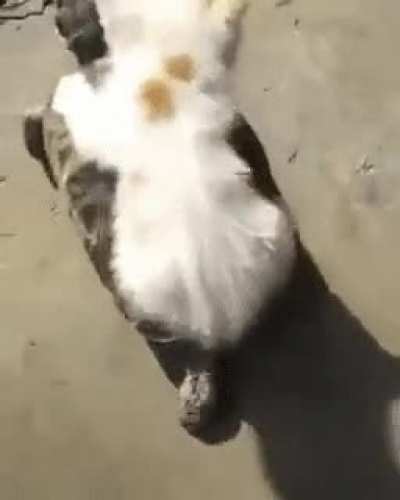 Unexpected friends