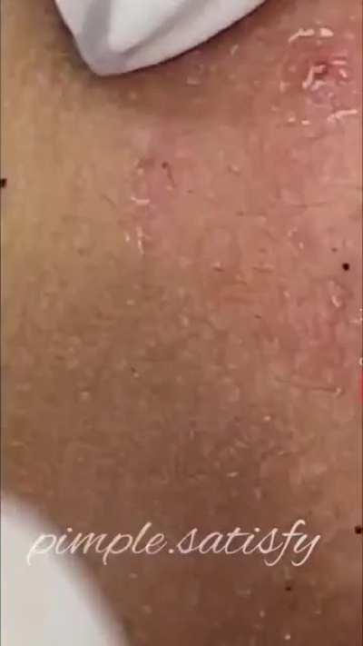 🤩🤤🤩🤤