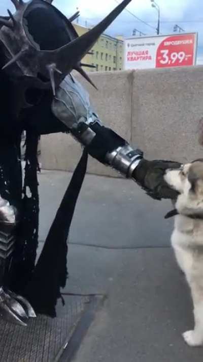 Witch king tames the warg. Cosplay by me.