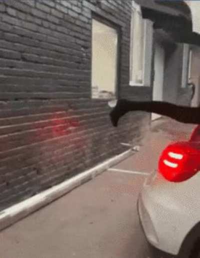 Parking car with leg