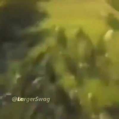 Aqui tem um título