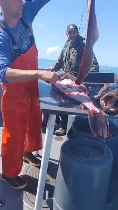 A fishy surprise