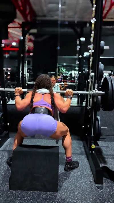Box squats / Regular Squats