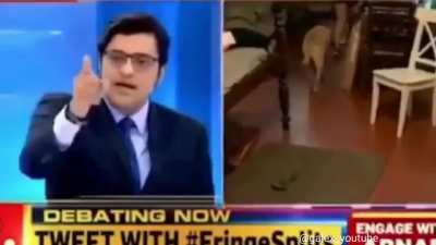 ORGANIC MEME HAA VAIS . . P.S.- MAZAK HAA VAIS ORGANIC NAHI HA