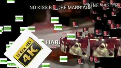 MARLON WEBB HARAM 720P NO VIRUS FUNNY FREE DOWNLOAD HARAM 😍🥰😍😂😃🤣🤩😃😂 2020