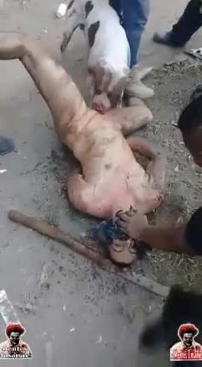 [GORE<wbr>/ЖЕСТ<wbr>Ь] Питбуль отгрыз яйца мужику