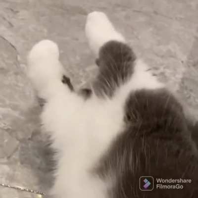 Toes stretch