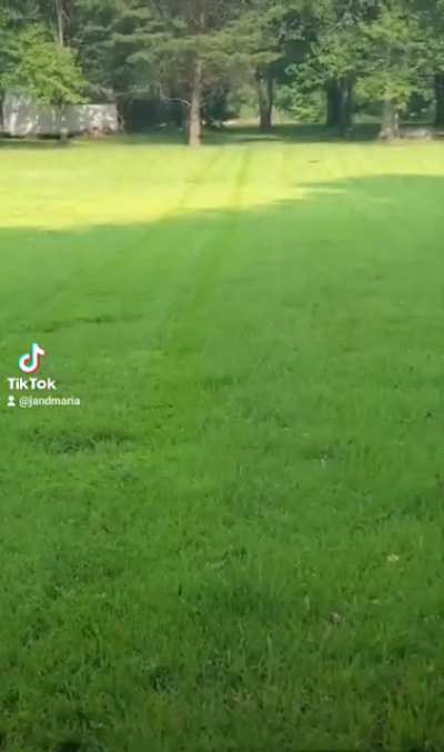 How I Mow Diagonal Lines