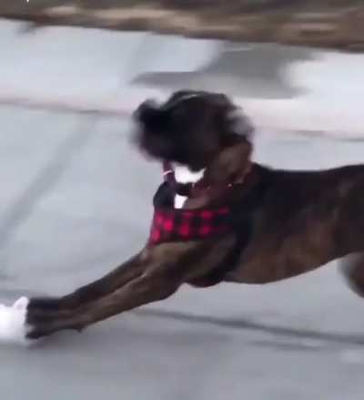 Derpy on ice