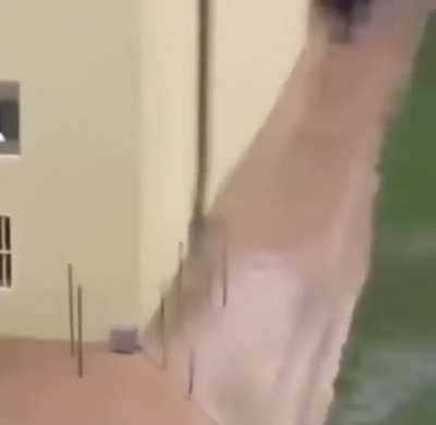 mono