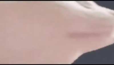 canción graciosa