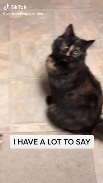 Screm