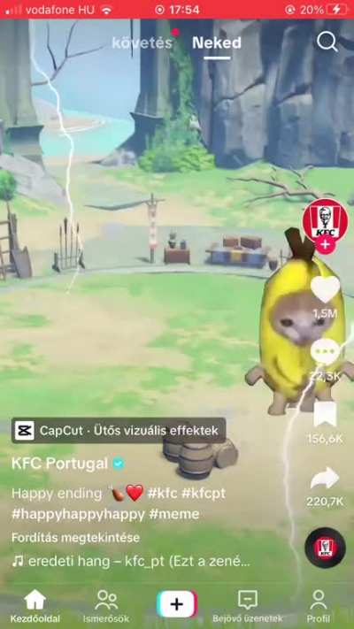Ainât no fucking way kfc portugal posted this