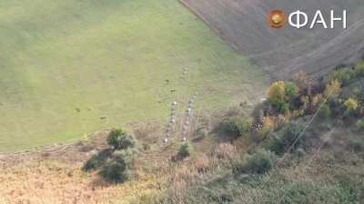 RU POV: Russian engineers constructing new defensive lines along the Lugansk Oblast border
