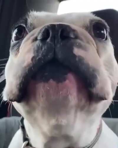 aaaaaaaA