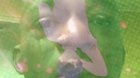 everyone listening to the op out of happi<wbr>ness/<wbr>sadne<wbr>ss rn