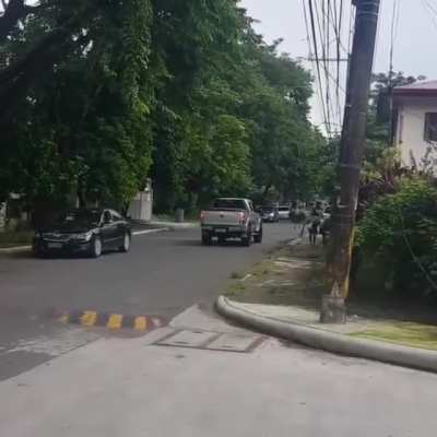 A random Ostrich appeared in my neighborhood today